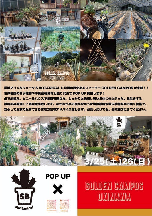 POP UP開催‼️in 横浜
